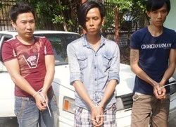 Lái ô tô đi trộm chó, dùng bột ớt tấn công cảnh sát