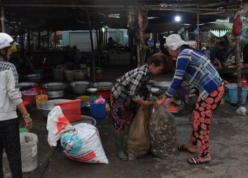 Mùa lũ thấp miền Tây: Cá linh bắt được chỉ đủ ăn, "chợ ma" đìu hiu