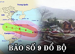 Storm No. 9 makes landfall in Thua Thien Hue - Binh Dinh and can knock down level 4 houses