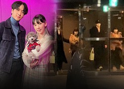 Thực hư thông tin Taeyeon (SNSD) hẹn hò với mỹ nam Ravi (VIXX)?