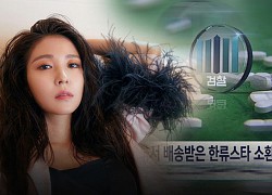 &quot;Kpop Queen&quot; BoA was arrested at the customs gate for suspicion of smuggling sleeping pills