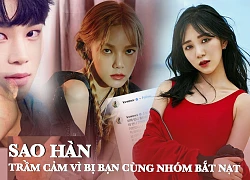 NHỮNG LẦN SAO HÀN TRẦM CẢM, MUỐN TỰ TỬ VÌ BỊ BẠN CÙNG NHÓM BẮT NẠT