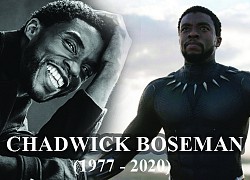 Chadwick Boseman - The Black Panther of Marvel cinema returns to God at the age of 43