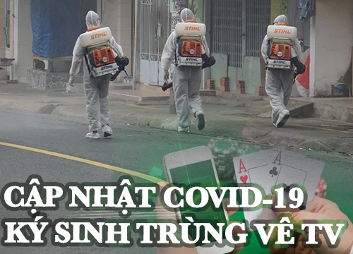 Thêm 7 ca nhiễm covid 19 mới;BTV VTV xin lỗi khán giả