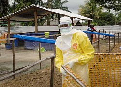 Khoa học theo dõi sát 'căn bệnh X', không xác định được loại virus gây bệnh