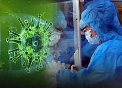 Vietnam has the first case of infection with a new variant of SARS-CoV-2. BN1435