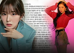 Irene (Red Velvet) wrote an official letter to speak out about the &quot;disgusting&quot; attitude of insulting the stylist