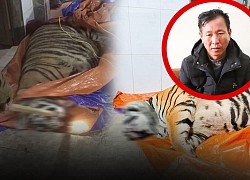 The tiger caught in a house in Ha Tinh, the owner claimed to use it to cook high