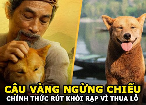 "Cậu Vàng" rút khỏi rạp chiếu vì thua lỗ hơn 30 tỷ | Đạo diễn Trần Vũ Thủy đã mắc sai lầm từ đâu?