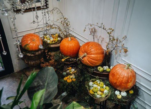 Bí ngô khổng lồ 'made in Việt Nam' giá hàng triệu đồng hút khách mùa Halloween