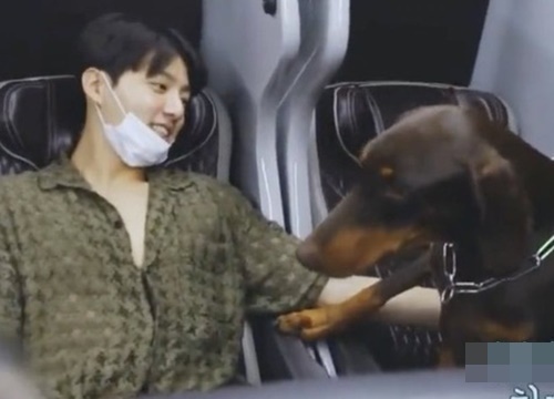 Phận "con sen" của Jungkook (BTS): Vừa đánh răng cho boss cực yêu lại phải còng lưng "dọn mìn"