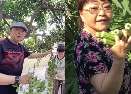Vườn cây hàng trăm m2 của NSƯT Bảo Quốc, Hương Lan ở Mỹ