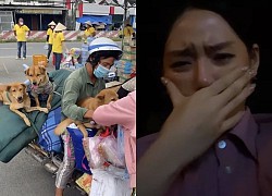 Khanh Linh &quot;trendy girl&quot; mourns 15 destroyed dogs, criticized for being &quot;fake to the point of goosebumps&quot;