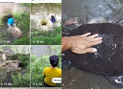 The guy dived his head into the pond for 3 seconds when the sentence &quot;sea monster&quot; scared viewers