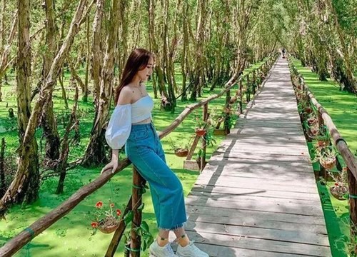 Cánh rừng từng nhận 2 kỷ lục Việt Nam đẹp mướt mát sắc xanh mùa nước nổi