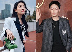 Liu Yifei was taken by Chu Nhat Long on the red carpet, making netizens angry