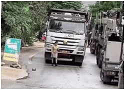 The girl blatantly walked in front of the truck, the driver&#39;s attitude made people respect