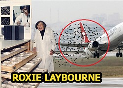 Roxie Laybourne | The &quot;feather detective&quot; changed the whole aviation industry