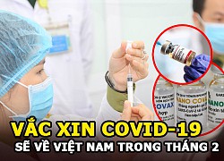 Vắc xin Covid-19 sẽ về Việt Nam trong tháng 2, ai được ưu tiên tiêm trước?