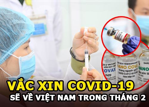 Vắc xin Covid-19 sẽ về Việt Nam trong tháng 2, ai được ưu tiên tiêm trước?