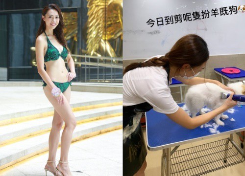 Những hoa hậu thất nghiệp, túng quẫn trong thời dịch Covid-19