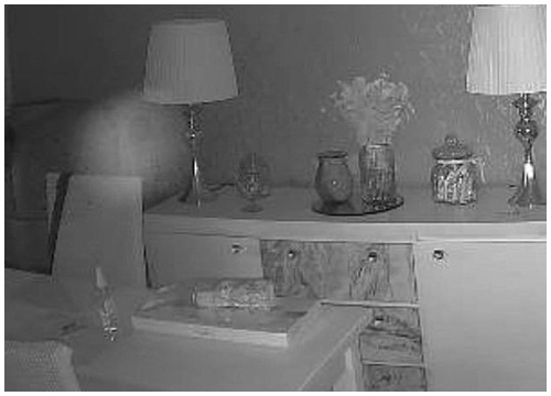 Kiểm tra camera lúc 3h sáng, cặp vợ chồng hốt hoảng phát hiện bóng dáng 'cô dâu ma'