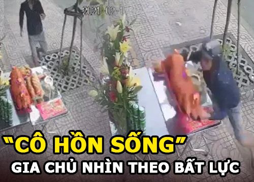 "Cô hồn sống" bất ngờ bê cả con heo quay cúng đầu năm bỏ chạy, gia chủ nhìn theo bất lực