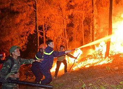 Forest fire in Lai Chau - Nearly 1,000 people cooperate to fight the fire