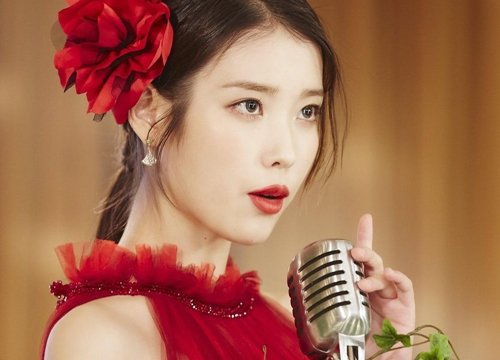 Fan IU và Rose khẩu chiến "nảy lửa" về danh hiệu nghệ sĩ solo