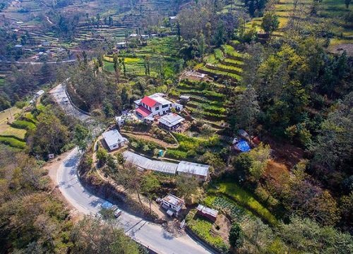 Mê mẩn trang trại bậc thang không hóa chất trên núi cao 1.500m