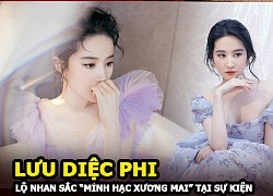 Lưu Diệc Phi - Lộ nhan sắc "mình hạc xương mai" tại sự kiện