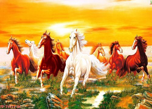 Tử vi 5 ngày tới, 3 con giáp ăn nên làm ra, làm chơi ăn thật, tiền đầy két tha hồ tung tẩy