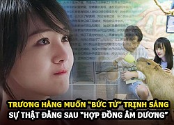 Trương Hằng muốn bức tử Trịnh Sảng và "góc khuất" trong "hợp đồng âm dương"