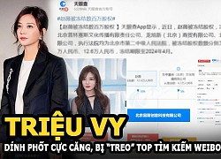 Triệu Vy dính phốt căng đến mức nào mà bị "treo" trên top tìm kiếm Weibo?