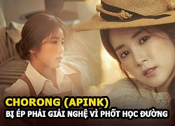 Chorong (Apink) was forced to retire because of school violence, the victim still has a tape?