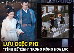 Lưu Diệc Phi và Trần Hiểu "tình bể bình" trong Mộng hoa lục