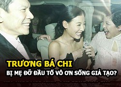 Truong Ba Chi was accused by the godmother of tycoon Tran Lam of &quot;talking rationally but living a fake life&quot; What is the truth?