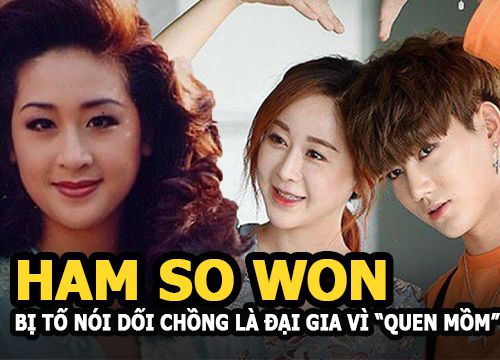Ham So Won - Hoa hậu Hàn bị tố nói dối chồng là đại gia vì "quen mồm" sĩ diện