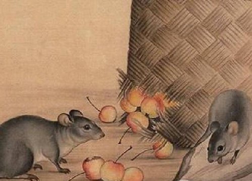 Tử vi cuối tuần (10/4-11/4): 3 con giáp bị hung tinh xung chiếu, 3 con giáp rũ sạch vận xui tiền về như nước
