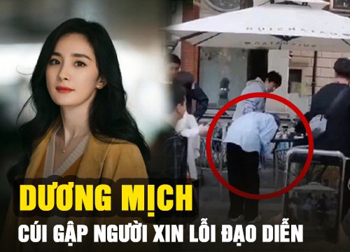 Dương Mịch cúi gập người 90 độ xin lỗi đạo diễn, lý do đằng sau gây tranh cãi