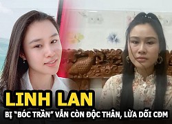 Linh Lan was &quot;revealed&quot; and is still single, impersonating relatives, deceiving the online community