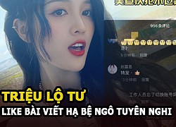 Triệu Lộ Tư nhấn like bài viết hạ bệ Ngô Tuyên Nghi, trượt tay hay cố ý?