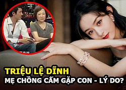 Trieu Le Dinh was forbidden to see her children by her mother-in-law, showing an unpleasant attitude for a reason?