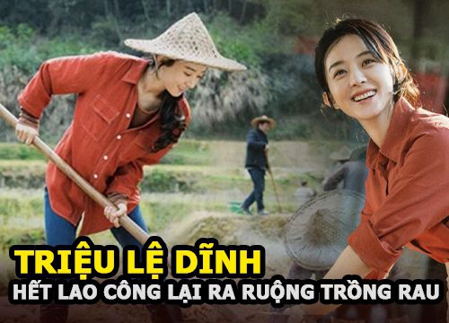 Trieu Le Dinh stopped working as a janitor and went to the field to grow vegetables, but the visual is still &quot;extreme&quot;