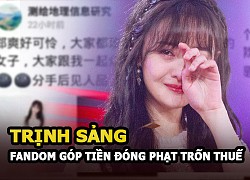 Trịnh Sảng được fandom kêu gọi đóng góp để giúp thần tượng nộp phạt tiền thuế