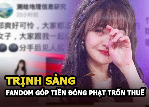 Trịnh Sảng được fandom kêu gọi đóng góp để giúp thần tượng nộp phạt tiền thuế