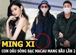 Ming Xi - Macau casino daughter-in-law is pregnant for the second time, is the &quot;birth machine&quot; for the rich real?