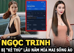 Ngọc Trinh lại bị "kẻ thù" lâu năm mỉa mai sống ảo, quảng cáo gian dối