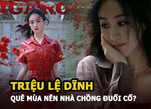 Triệu Lệ Dĩnh đáp trả khôn ngoan khi bị mỉa mai "vì quê mùa nên nhà chồng đuổi khỏi cửa"