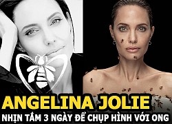 Angelina Jolie nhịn tắm nhiều ngày để chụp hình với ong, chia sẻ về chuyện hẹn hò gây bão